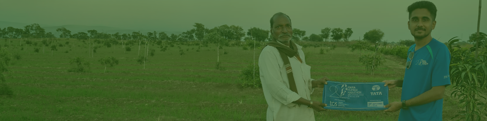 TMM Agroforestry